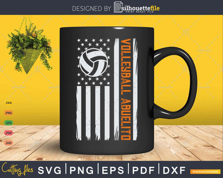 Vintage Volleyball Abuelito USA Flag Retro Fathers Day