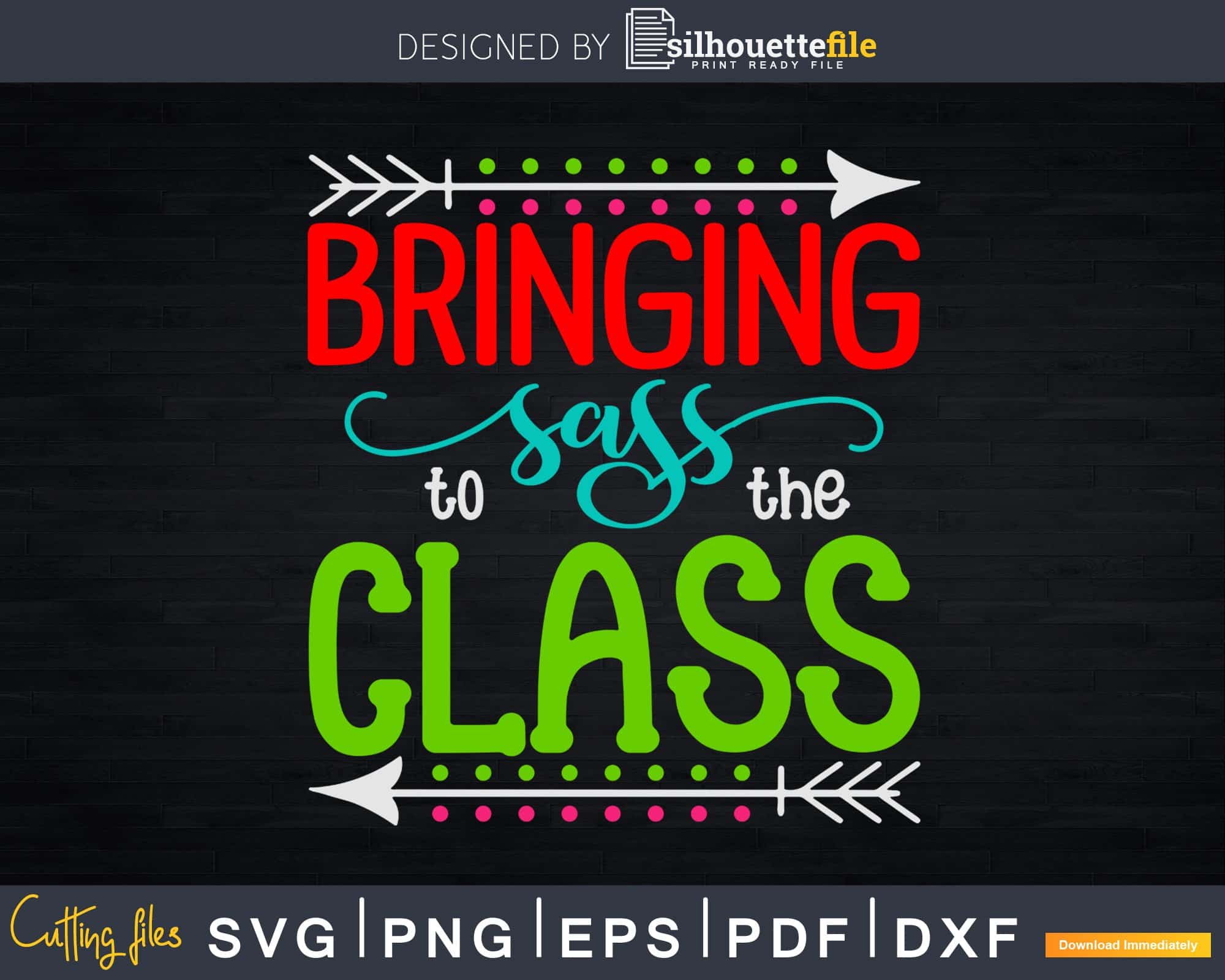 Bringing Sass to the Class Svg Back to School Svg Cricut Cut Files ...