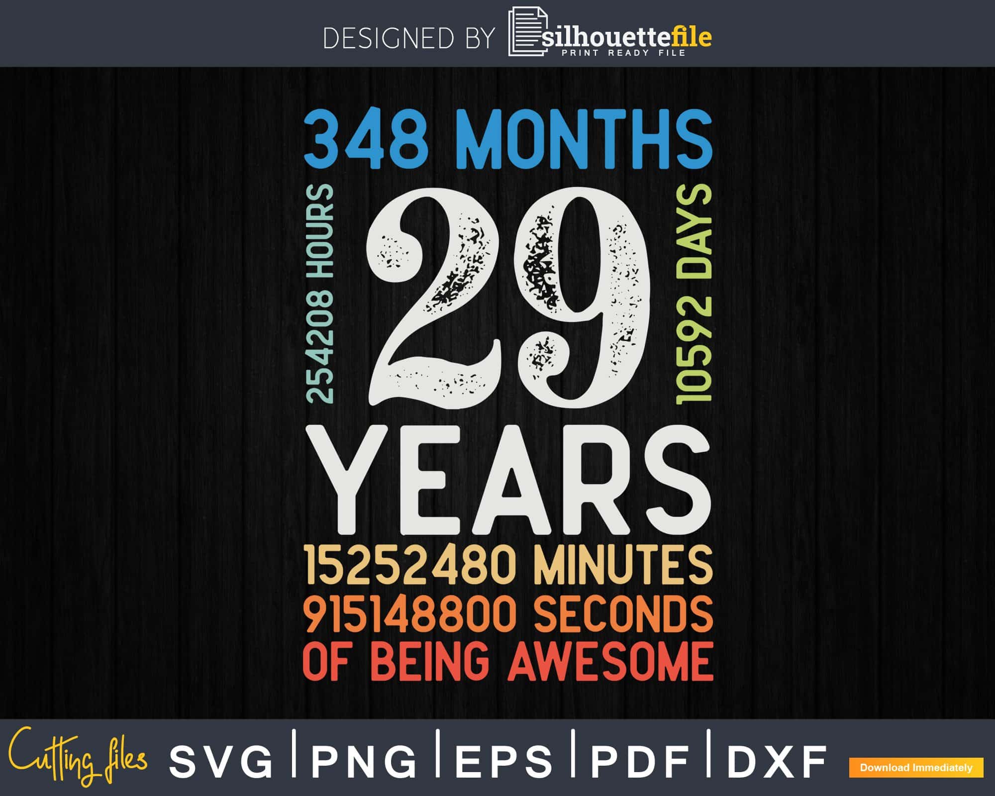 Retro Vintage 29 Years Old Classic 29th Birthday 348 Months
