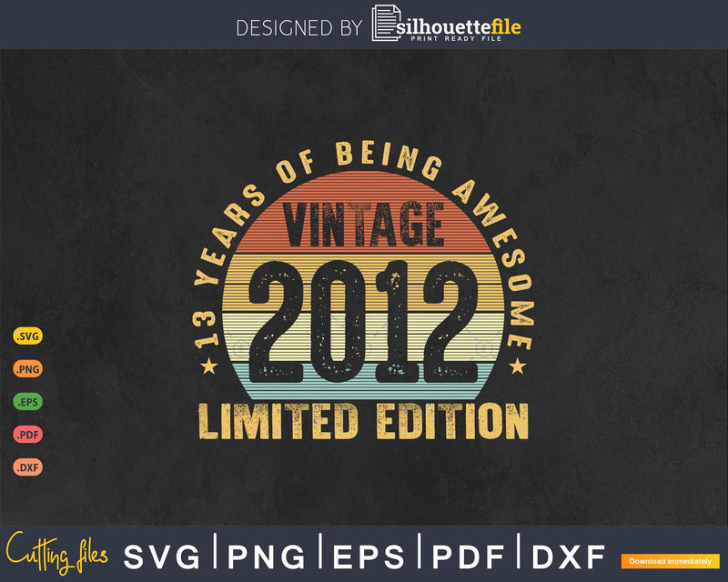 13 Years of Being Awesome best t-shirt design Svg files