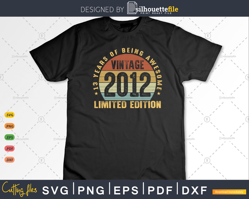 13 Years of Being Awesome best t-shirt design Svg files