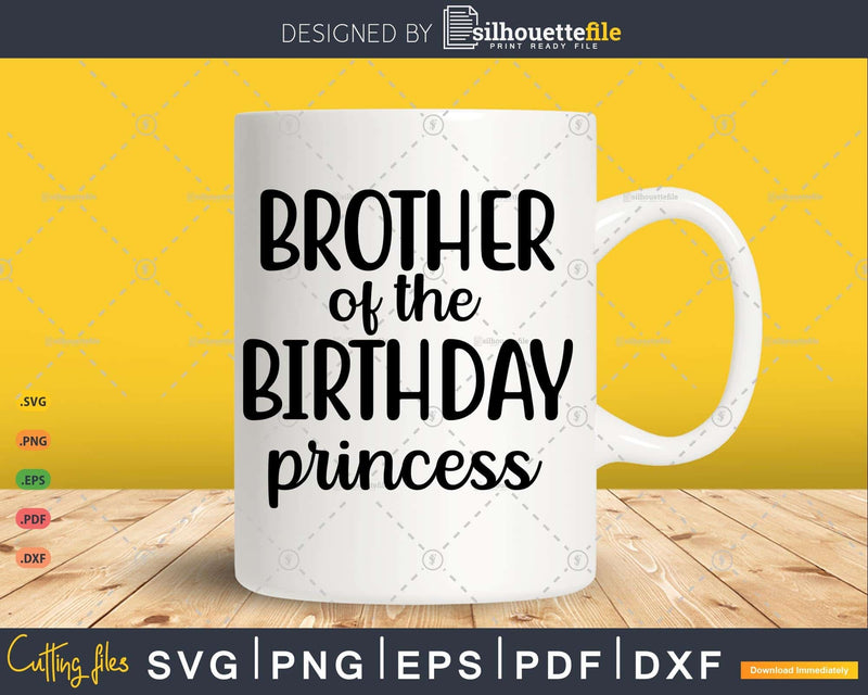 Brother Of The Birthday Princess Girls Party Svg T-shirt