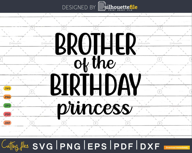 Brother Of The Birthday Princess Girls Party Svg T-shirt