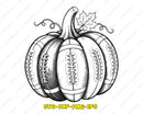 Football Fall Pumpkin SVG Autumn Sports Cut Files