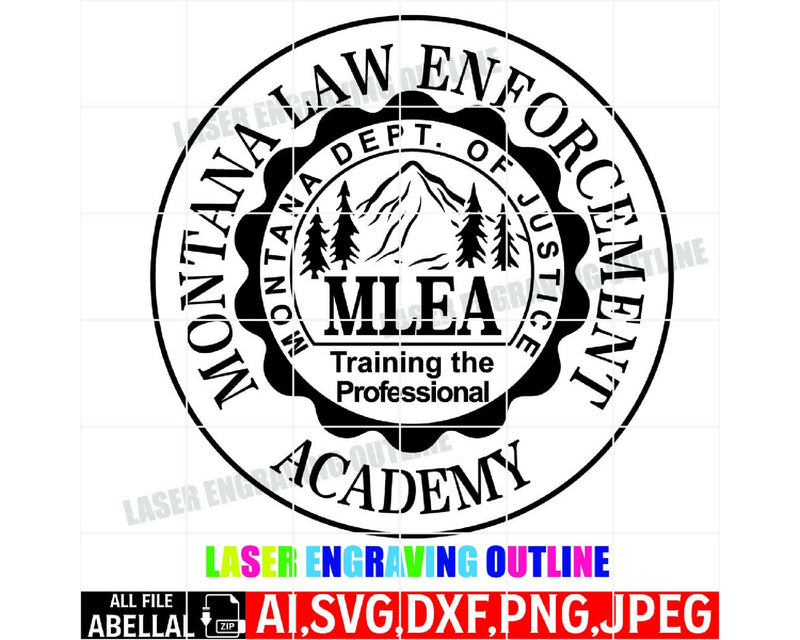 Montana Law Enforcement Academy Badge