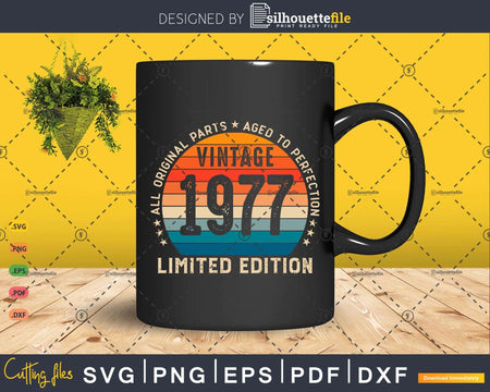 46 Year Old Gifts Vintage 1977 Limited Edition 46th Birthday