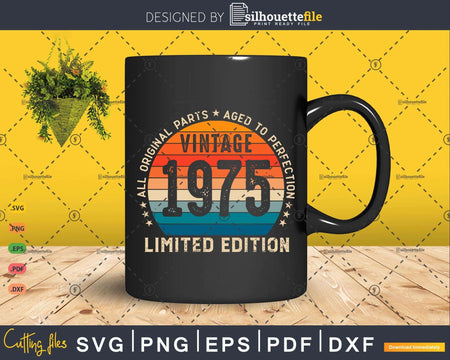 48 Year Old Gifts Vintage 1975 Limited Edition 48th Birthday