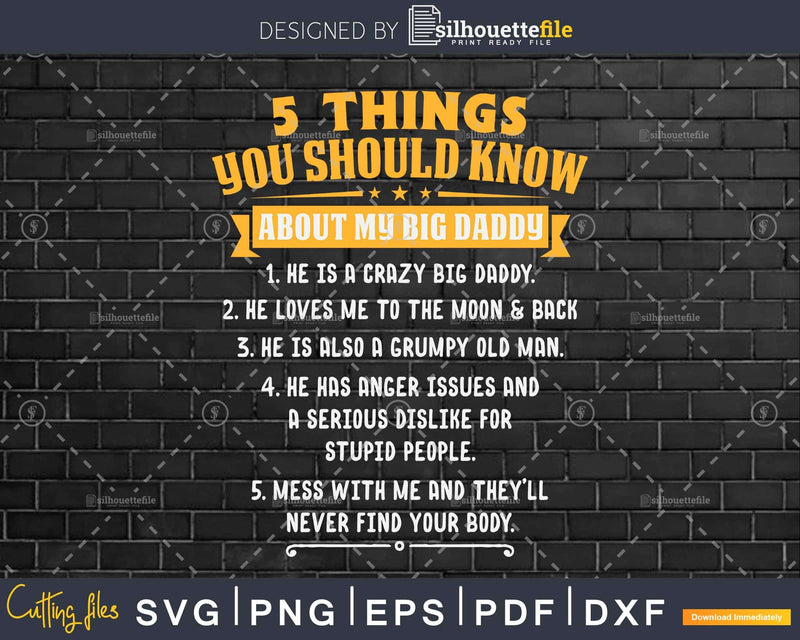 5 Things You Should Know About My Big Daddy Father’s Day