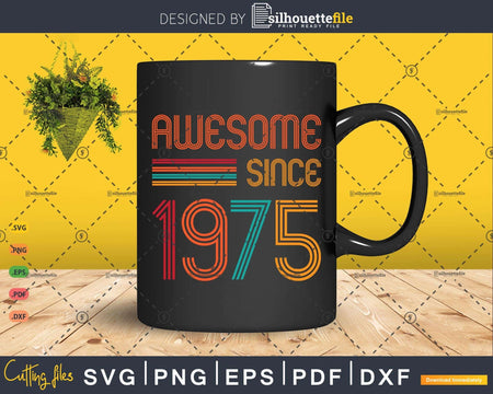 Awesome Since 1975 48th Birthday Retro