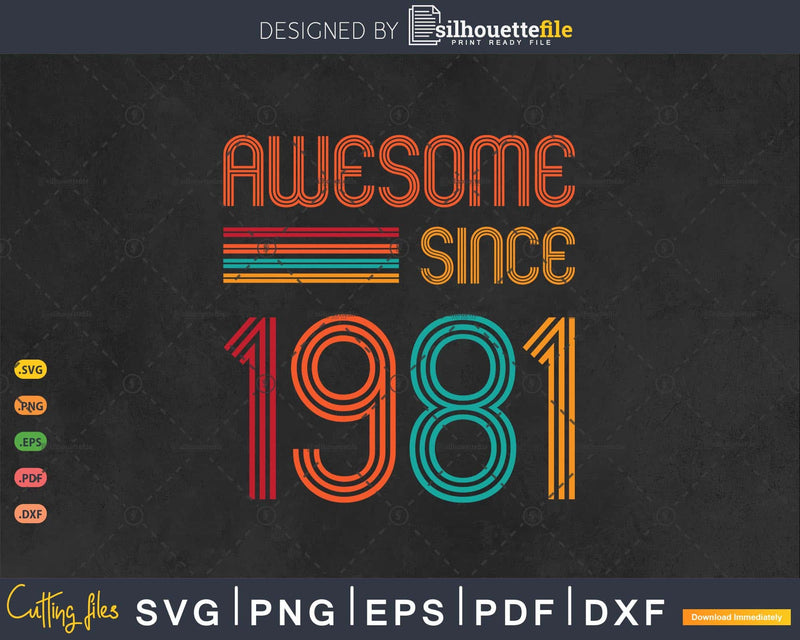 Awesome Since 1981 42nd Birthday Retro