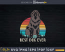 Best Dog Ever Newfoundland Png Svg T-shirt Designs