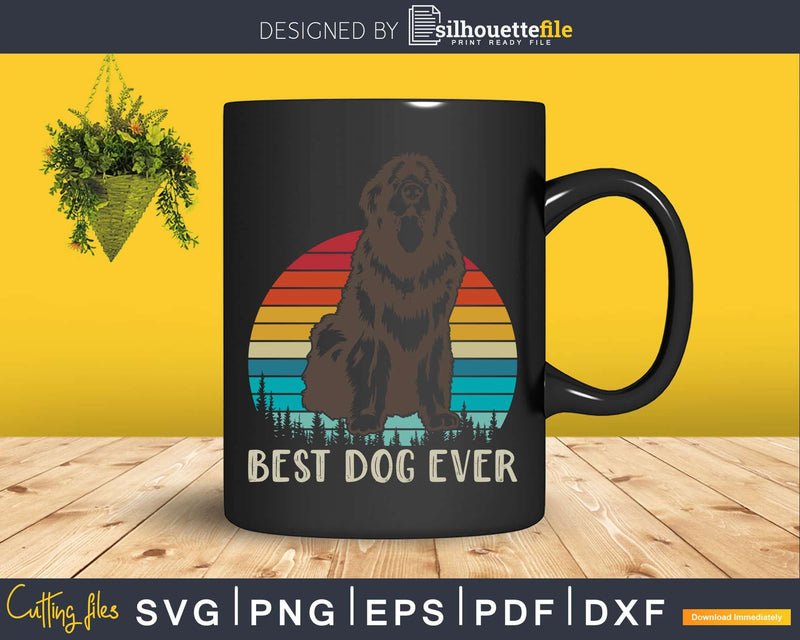 Best Dog Ever Newfoundland Png Svg T-shirt Designs
