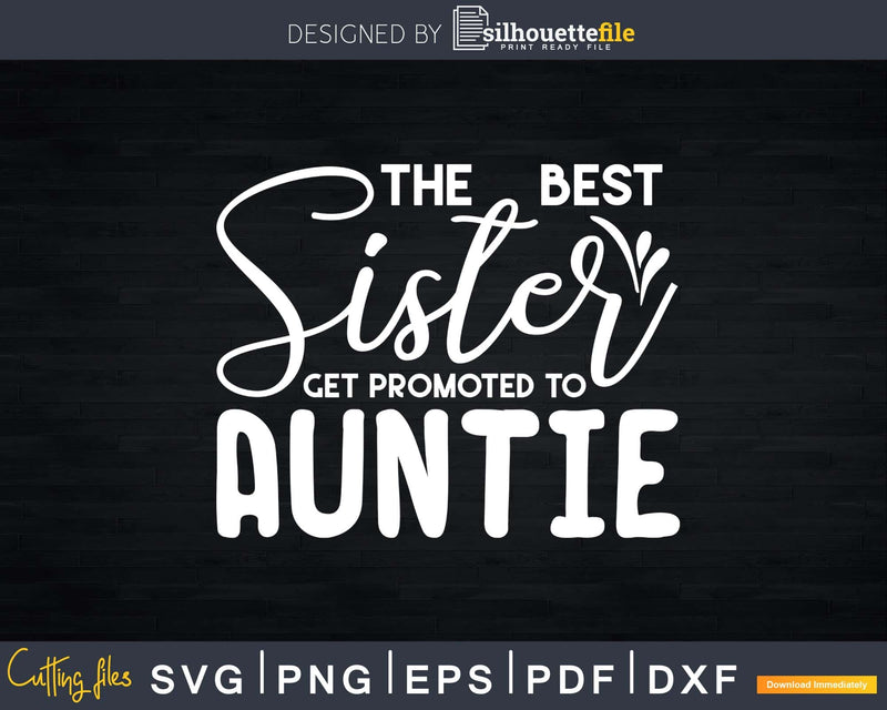 Best Sisters Get Promoted to Auntie Funny Gift for Aunt