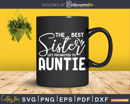 Best Sisters Get Promoted to Auntie Funny Gift for Aunt