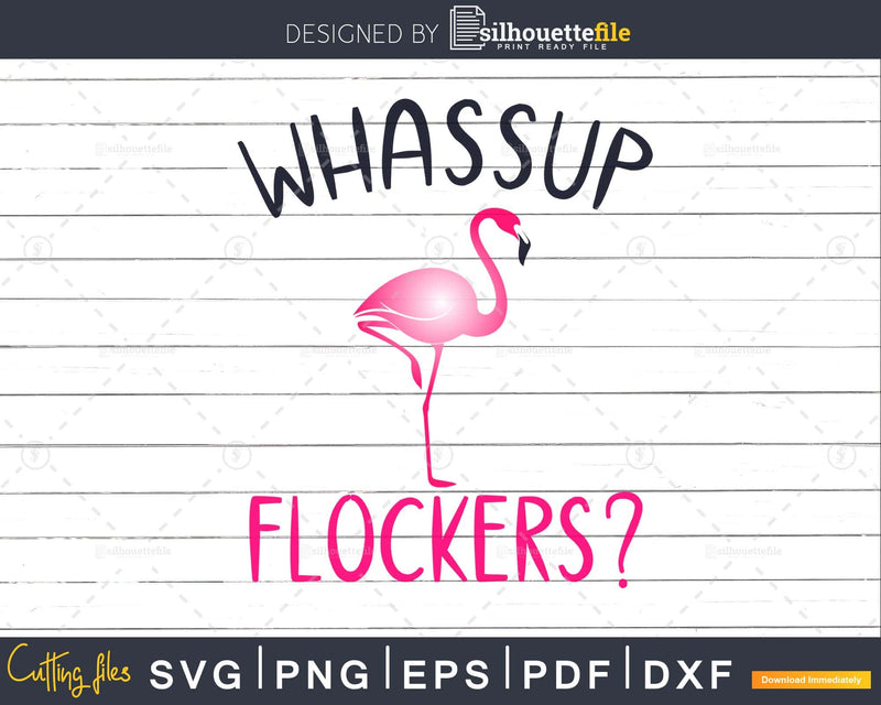 Flamingo svg Whassup Flockers cut files for silhouette