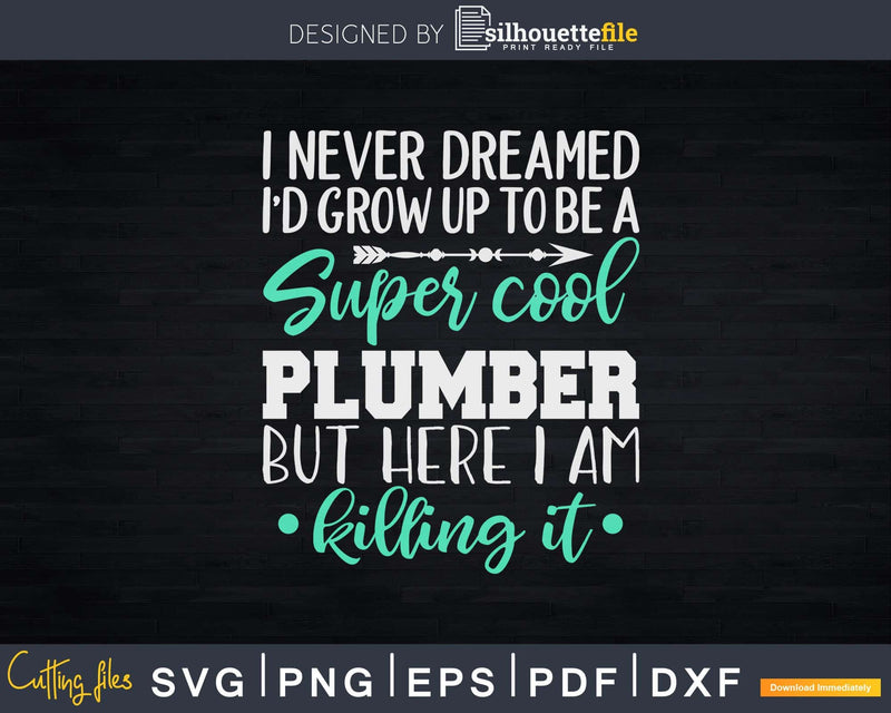 Funny Super Cool Plumber Killing It Svg Png Cut Files