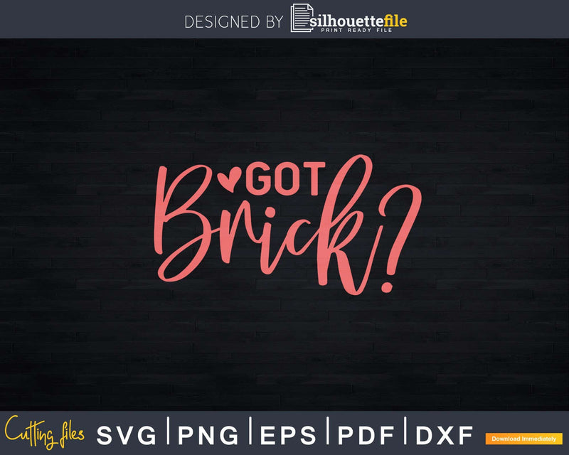 Got Brick? Bricklayer Stonemason Tiler Svg T-shirt Designs