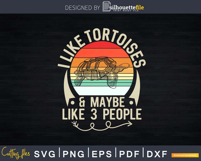 I Like Tortoises and Maybe 3 People Funny Tortoise Shirt