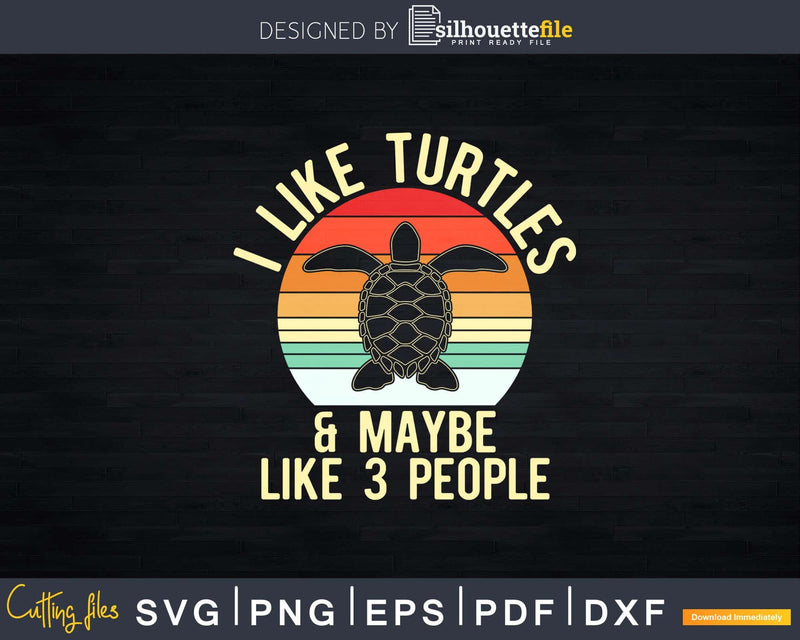 I Like Turtles and Maybe 3 People Retro Sunset Svg Png Cut