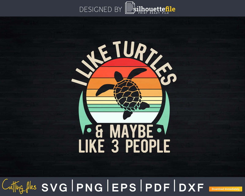 I Like Turtles and Maybe 3 People Sea Turtle Lover Shirt