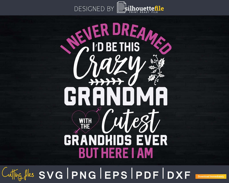 I Never Dreamed I’d Be This Crazy Grandma Funny Svg