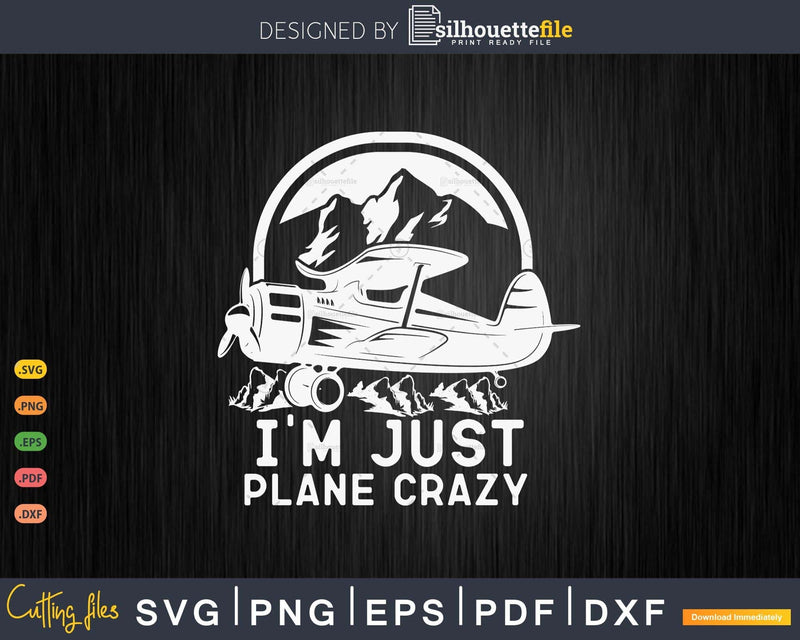 I’m Just Plane Crazy