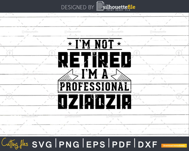 I’m Not Retired A Professional Dziadzia Svg Png Cricut Files