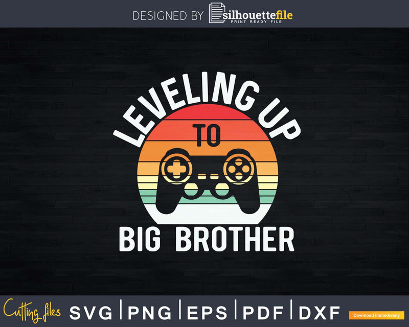 Leveling up to Big Brother 2021 funny gamer vintage Svg Dxf
