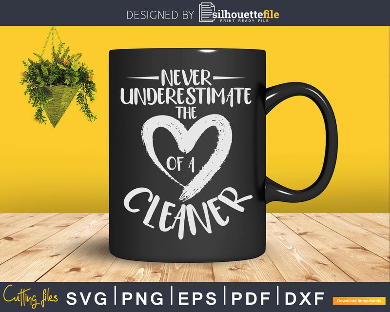 Never Underestimate the Heart of a Cleaner Fun Valentine