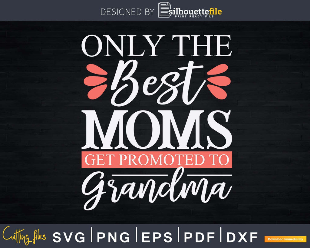 Only The Best Moms Get Promoted to Grandma