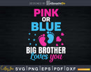 Pink Or Blue Big Brother Loves You Baby Gender Reveal Party