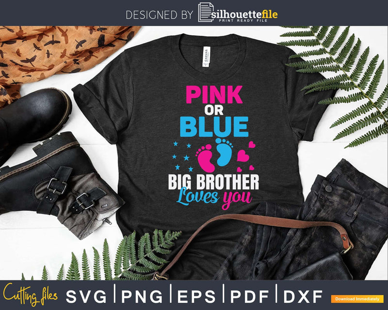 Pink Or Blue Big Brother Loves You Baby Gender Reveal Party