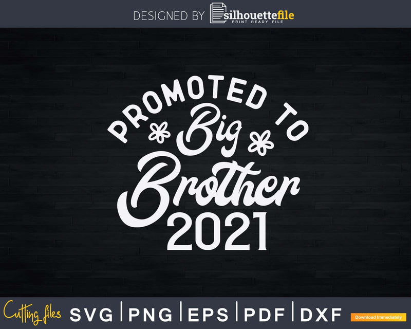 Promoted Big Brother 2021 Pregnancy Announcement Boys Svg