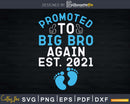 Promoted To Big Bro Again Est 2021 Birth Announcement Svg