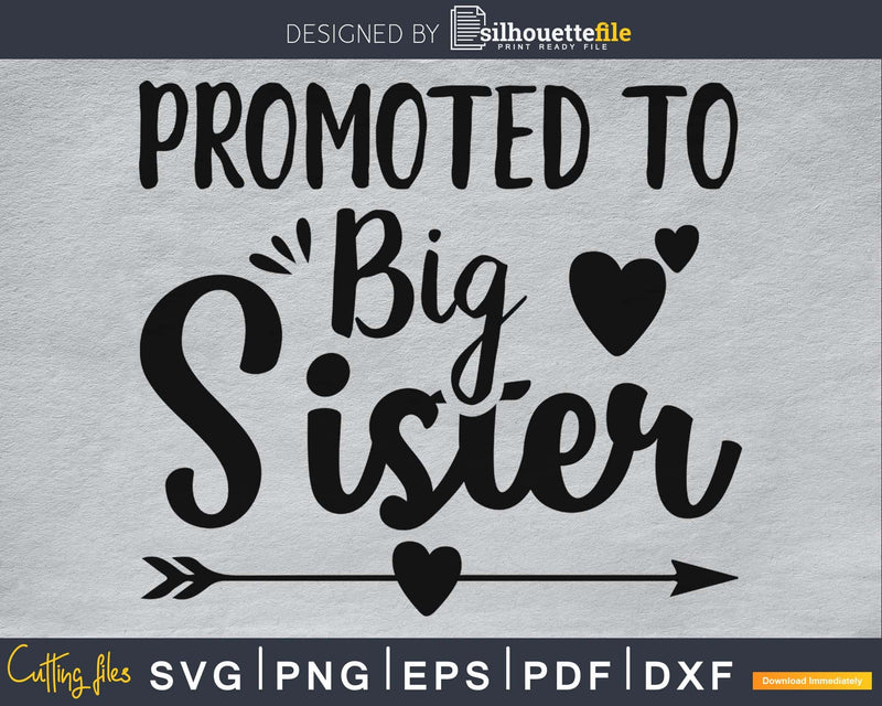 Promoted To Big Sister SVG PNG Cutting Printable File