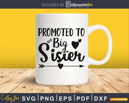 Promoted To Big Sister SVG PNG Cutting Printable File