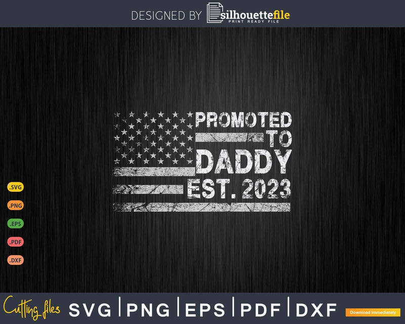 Promoted to Daddy 2023 First Time 2nd Fathers day New Flag