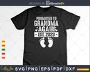 Promoted To Grandma Again Est 2023 Svg Dxf Digital Craft