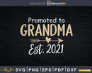 Promoted to Grandma Est 2021 Mothers Day New Mimi Svg Png