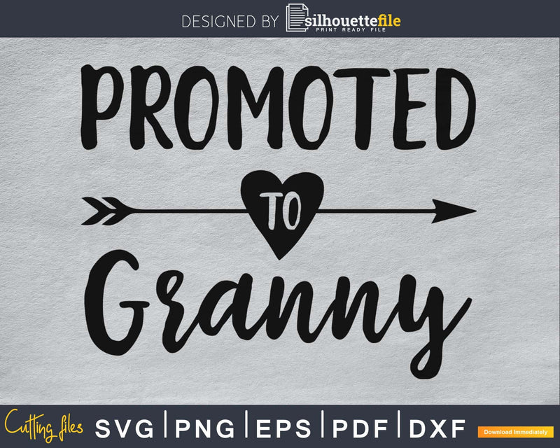 Promoted To Granny SVG PNG Cutting printable file