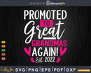 Promoted To Great Grandma Again Est. 2022 Svg T-shirt