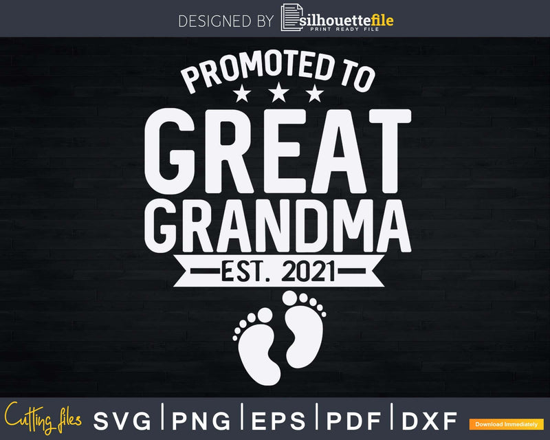 Promoted To Great Grandma est 2021 Shirt Mother’s Day Svg