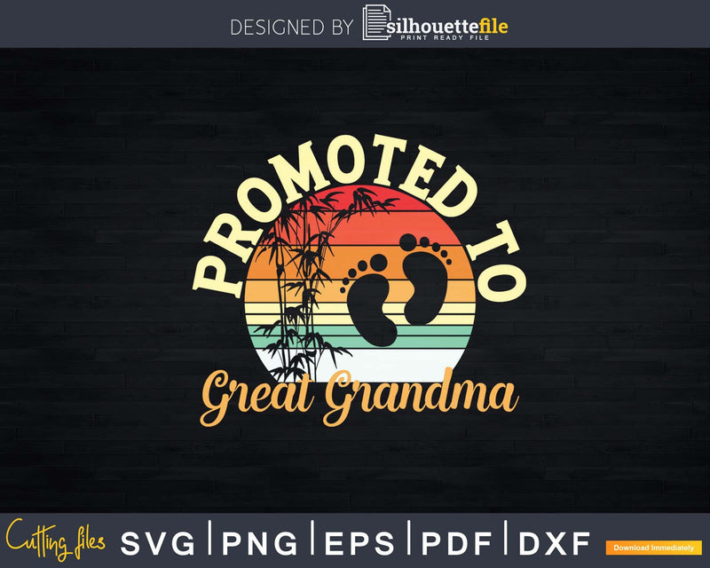 Promoted to Great Grandma vintage Retro Svg T-shirt Designs