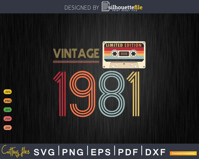 Retro Best of 1981 Mixtape Cassette Vintage 42nd Birthday