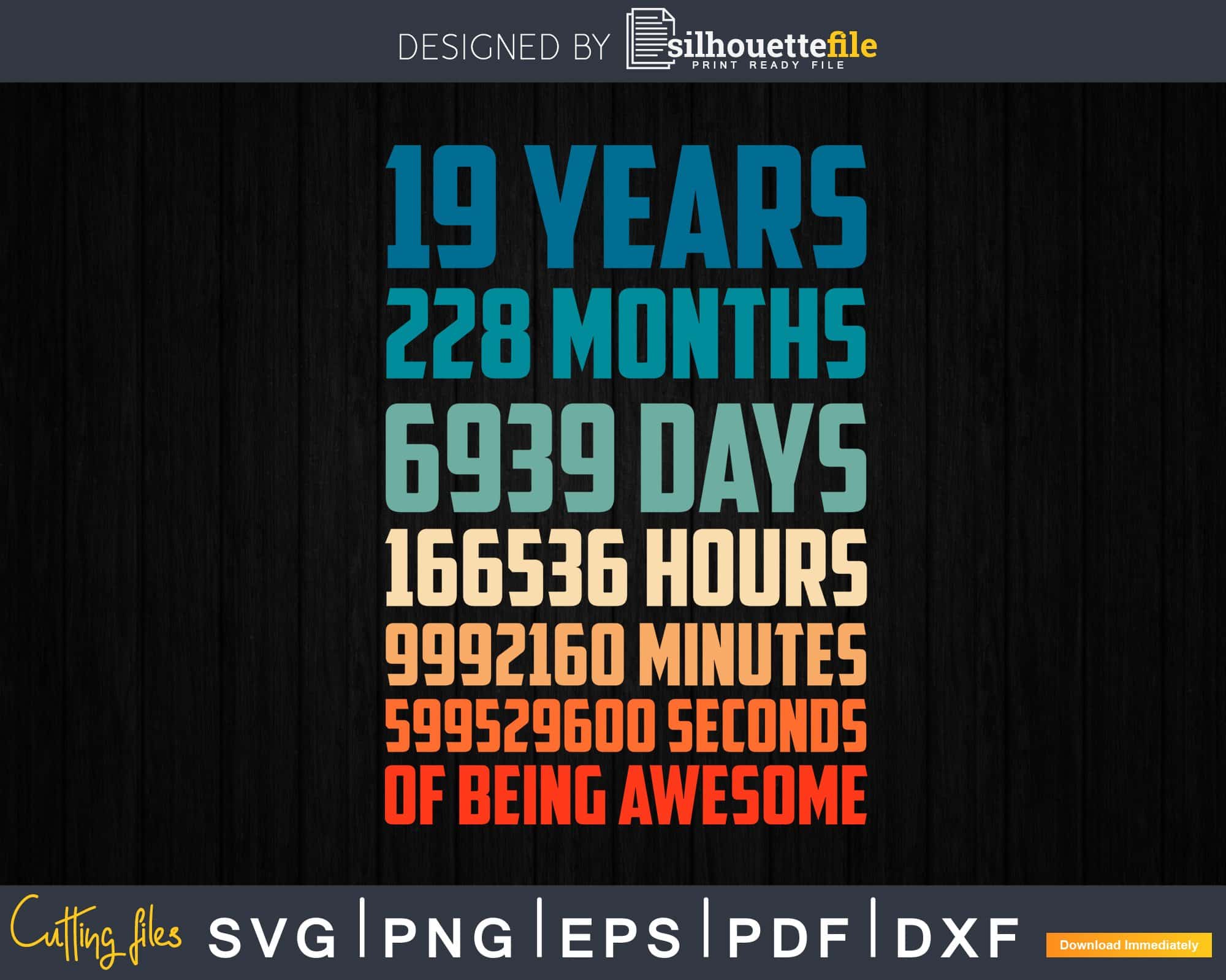 Retro Vintage 19 Years Old Classic 19th Birthday 228 Months ...