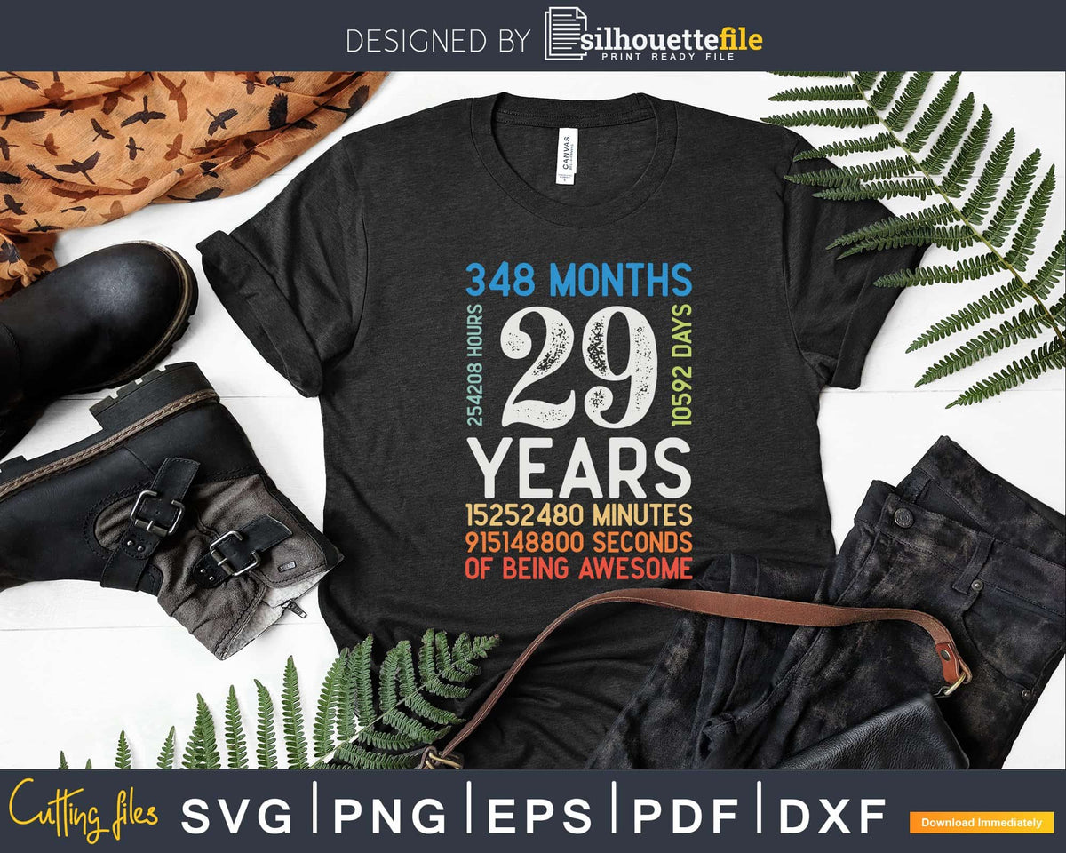Retro Vintage 29 Years Old Classic 29th Birthday 348 Months