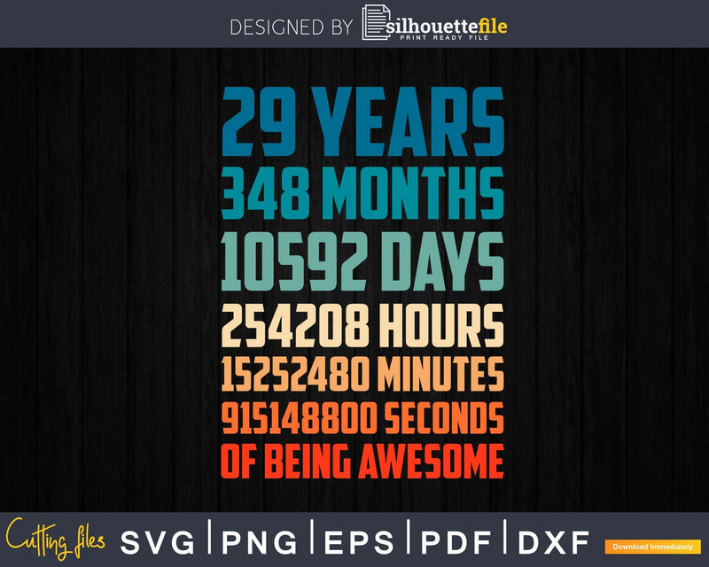 Retro Vintage 29 Years Old Classic 29th Birthday 348 Months