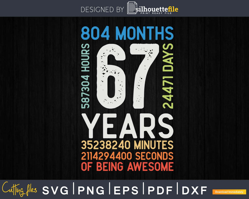 Retro Vintage 67 Years Old Classic 67th Birthday 804 Months
