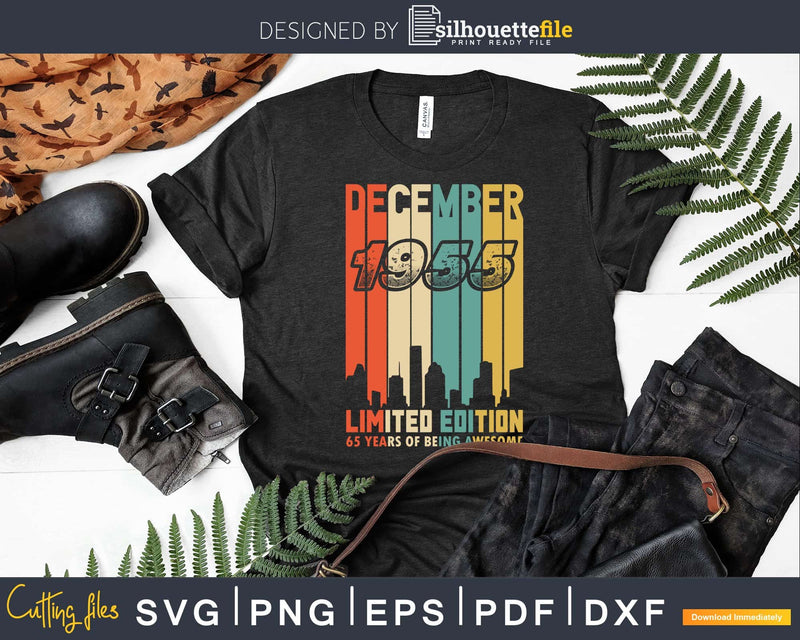 Retro Vintage Limited Edition Funny 65th Birthday Awesome