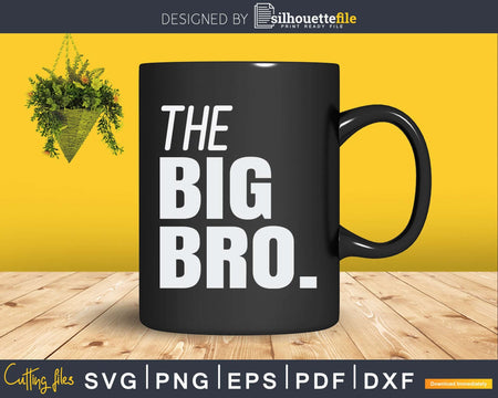 The Big Bro Brother Svg T-shirt Design